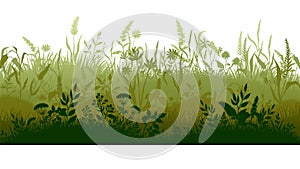 Grass silhouette. Marsh and swamp plains with weed and plants, cartoon wavy meadow. Vector grassland landscape photo