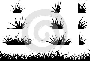 Grass silhouette set. Weed collection. Vector illustration isolated on white