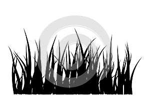 Grass silhouette vector symbol icon design.