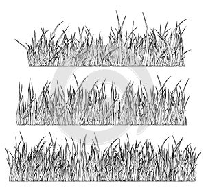 Grass silhouette vector symbol icon design.