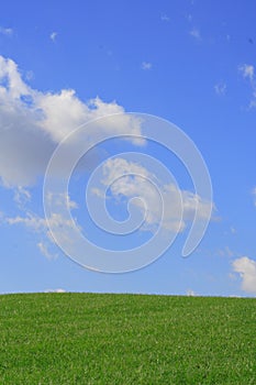 Grass and Sky