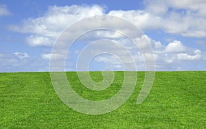 Grass and sky