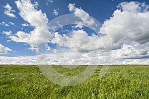 Grass Sky Landscape