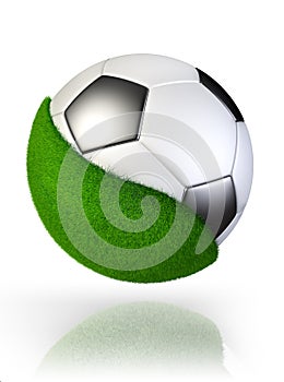 Grass on soccer ball