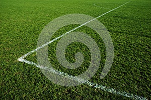 Grass soccer field