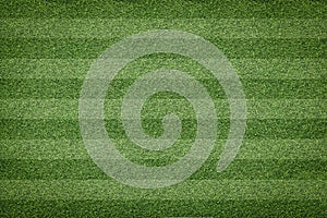 Grass of soccer field background