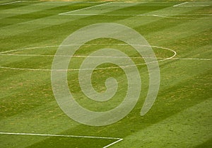 Grass, Soccer field