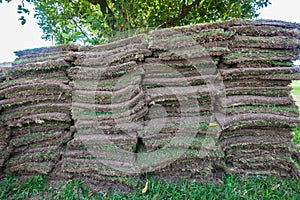 Grass Sods Pieces Stacked photo