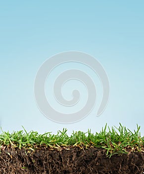 Grass soil