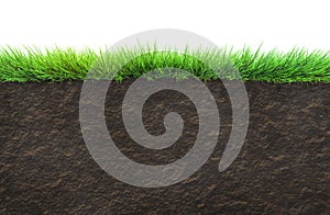 Grass and soil