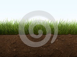 Grass and soil