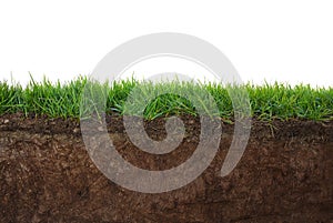 Grass and soil