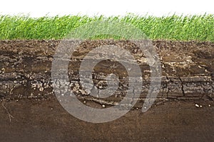 Grass and soil layers isolated on white photo