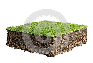 Grass and soil profile