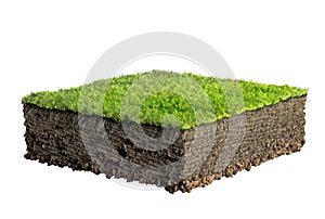 Grass and soil profile
