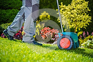 Grass Sowing in the Garden