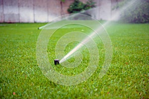 Grass Sprinkler closeup photo