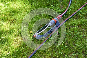 The grass sprinkler irrigation system on a green lawn