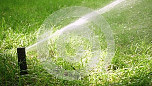 Grass sprinkler on meadow at the park