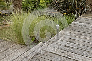 Grass stipa tenuissima at the edge of a wooden deck