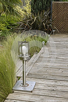 Grass stipa tenuissima at the edge of a wooden deck