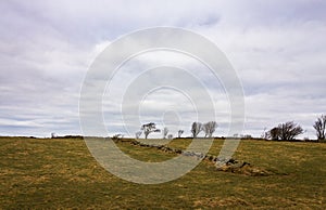 Grass, stone fence, trees and sky at Lista, in southern Norway photo