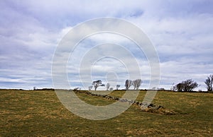 Grass, stone fence, trees and sky at Lista, in southern Norway photo