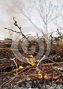 The grass, straw burns