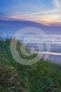 Grass, sunset and ocean by beach in nature for travel, vacation or holiday destination. Outdoor, lawn and plants by sea