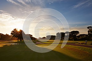 Grass, sunset sky and trees on golf course with clouds, shadow and natural landscape with path in park. Nature, green