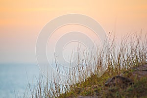 Grass with sunset in twilight time at the sea.