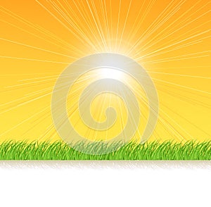 Grass on the Sunshine Rays