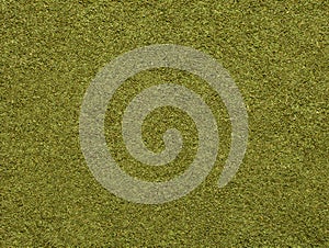 Grass texture