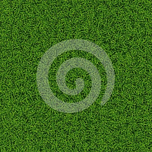 Grass texture