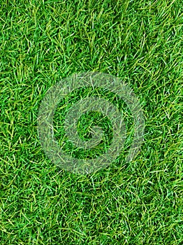 Grass Texture.Artificial grass texture.Grass texture of football.