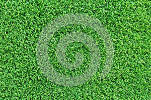 Grass texture background for golf course, soccer field or sports concept design. Artificial green grass