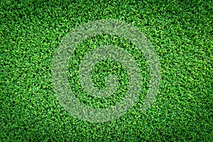 Grass texture background for golf course, soccer field or sports concept design. Artificial green grass