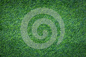 Grass texture background for golf course, soccer field or sports concept design. Artificial green grass