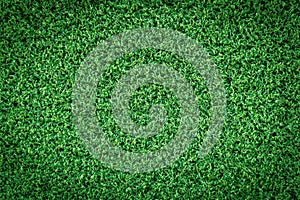 Grass texture or grass background. green grass for golf course, soccer field or sports background concept design.