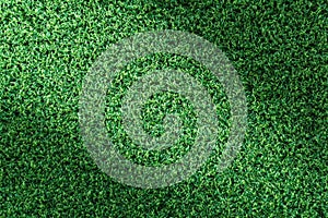 Grass texture or grass background. green grass for golf course, soccer field or sports background concept design.