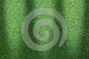 Grass texture or grass background. green grass for golf course, soccer field or sports background concept design.