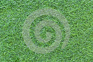 Grass texture or grass background. green grass for golf course, soccer field or sports background concept design.