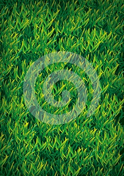 Grass texture illustration