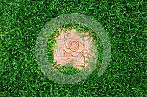 Grass texture with rose stone