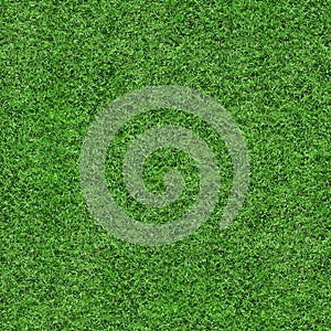Grass Texture - Seamless