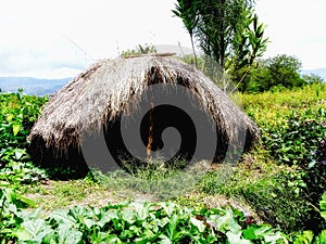 Grass-top hut of native Dani people. Wamena, Papua, Indonesia