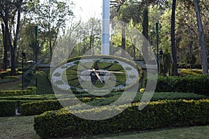 Grass trees and bushes in the clock of the sunken park of Mexico city