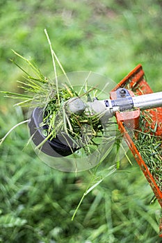 Grass trimmer head