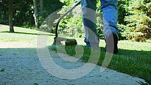 Grass trimmer is used by male gardener to mow the lawn along the sidewalk