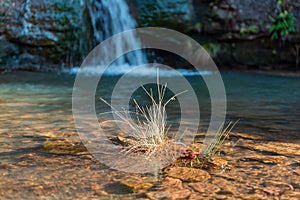 A grass tuft and cascading water at Three Shires Head